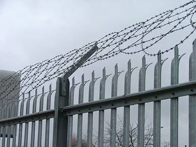 flat-razor-wire-palisade-fence