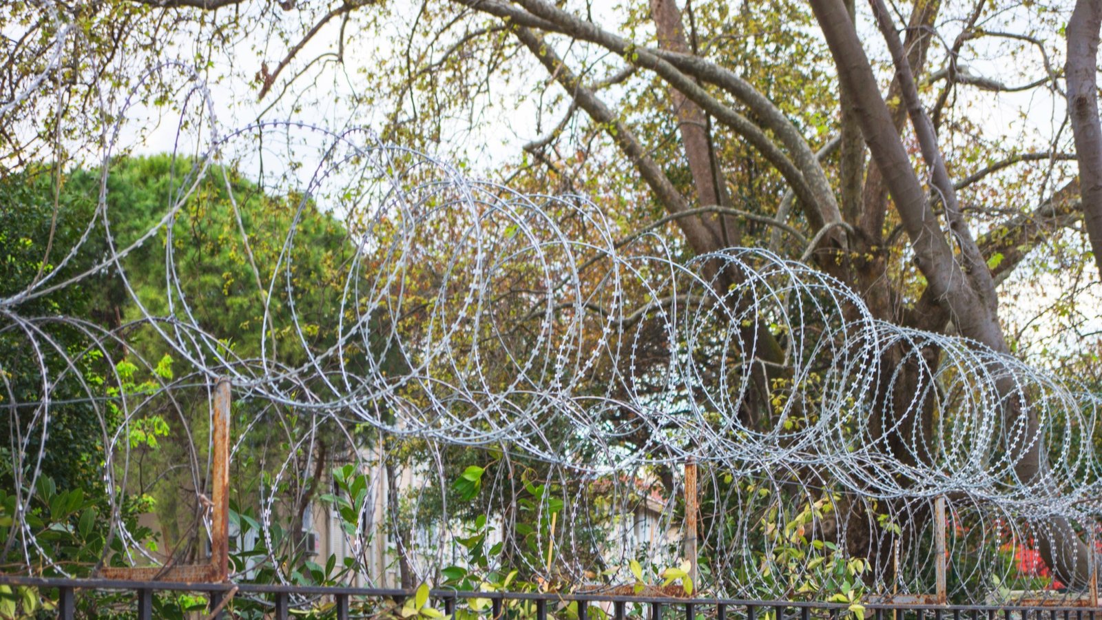 razor wire sprial 