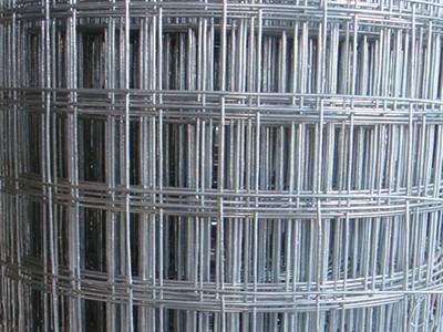 Hot-dipped galvanized wire mesh roll