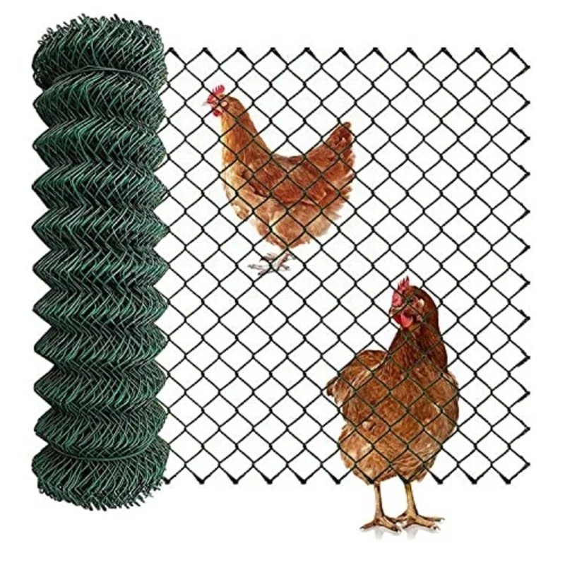 Fencing1