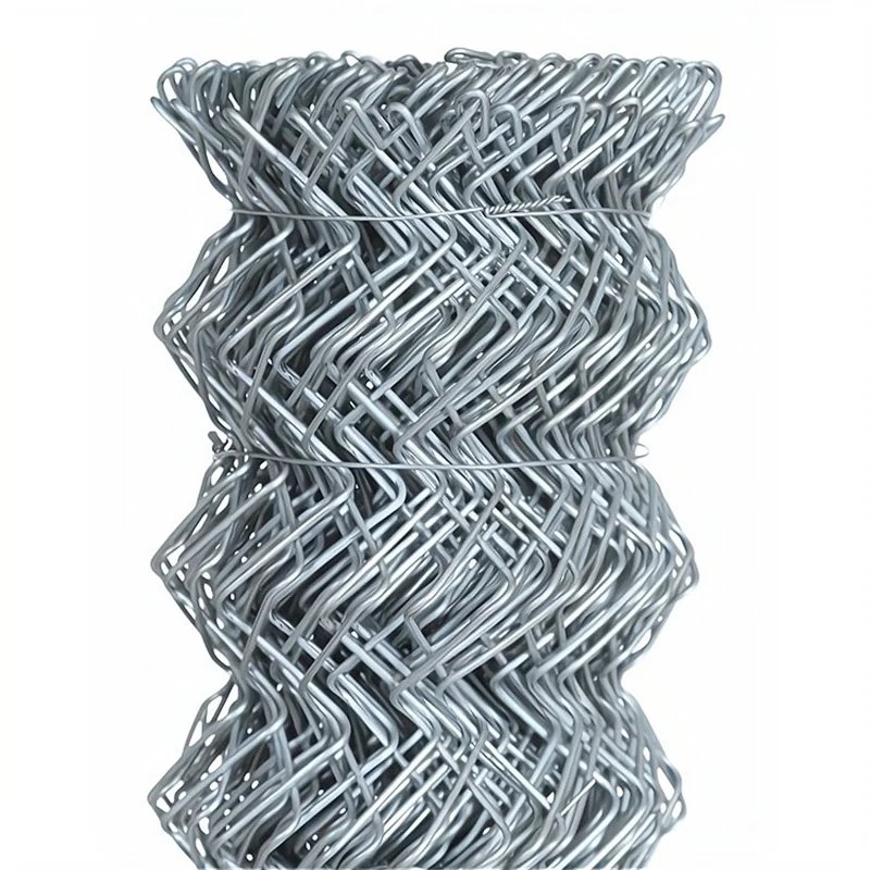Fencing1