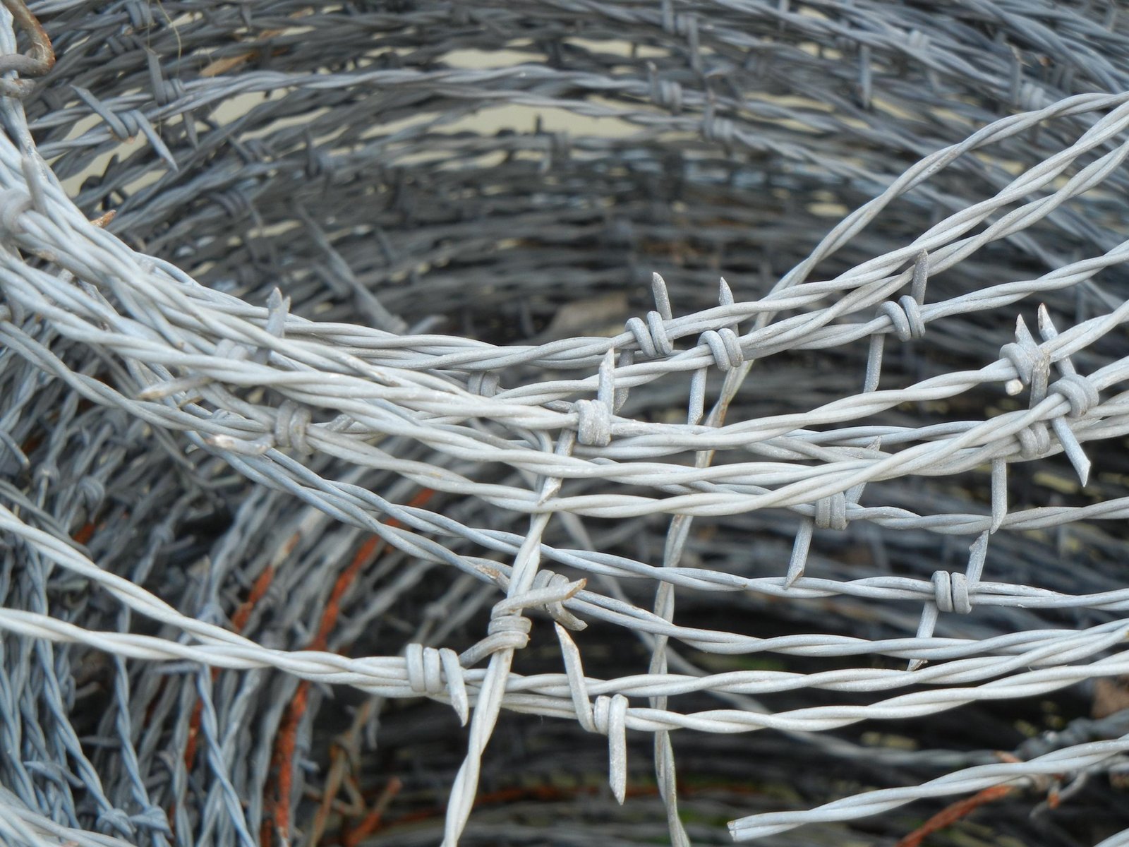 Barbed-Wire-Galv-Double-Strand Barbed-Wire-Galv-Double-Strand