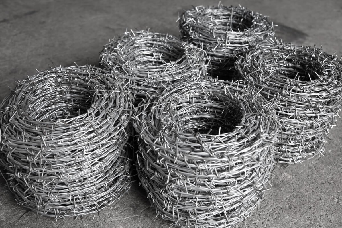 Barbed-Wires Barbed-Wires