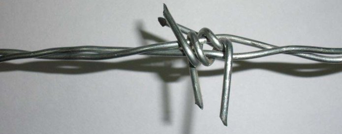 barbed-wires