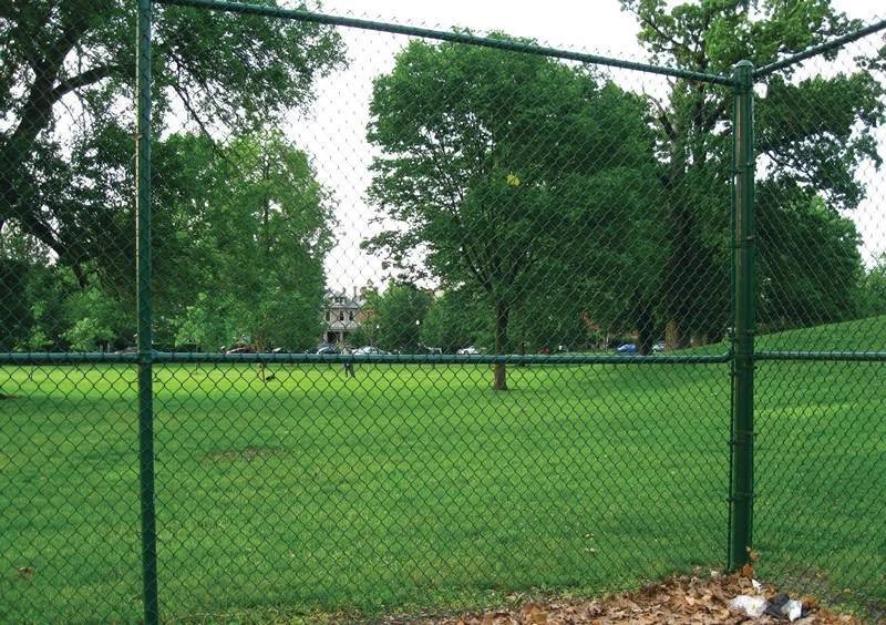 green-chain-link-fence