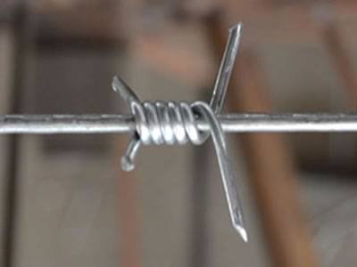 single-twist-barbed-wire-detail