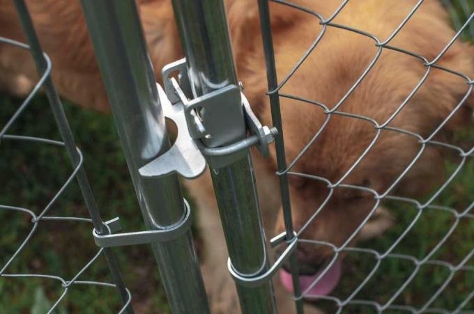 Chain link dog run enclosure showing modular kennel panels