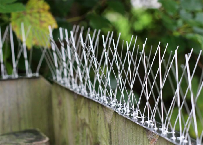 Anti-climb wall spikes used along perimeter wall and fence tops