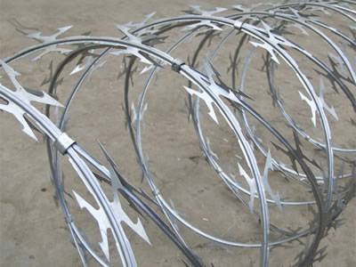 Concertina razor wire coils reference photograph