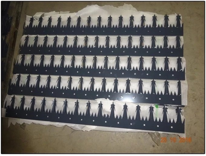 Security fence panel reference with perimeter protection and optional top security arrangement
