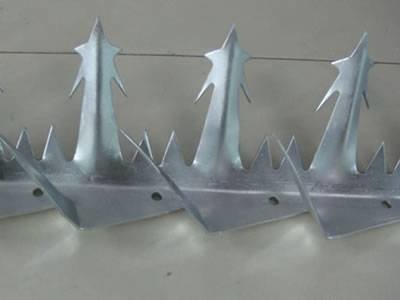 Razor-style steel security spikes with pointed anti-climb projections