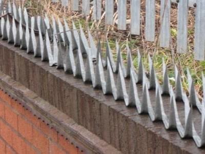 Steel razor wall spikes used as a perimeter security topping